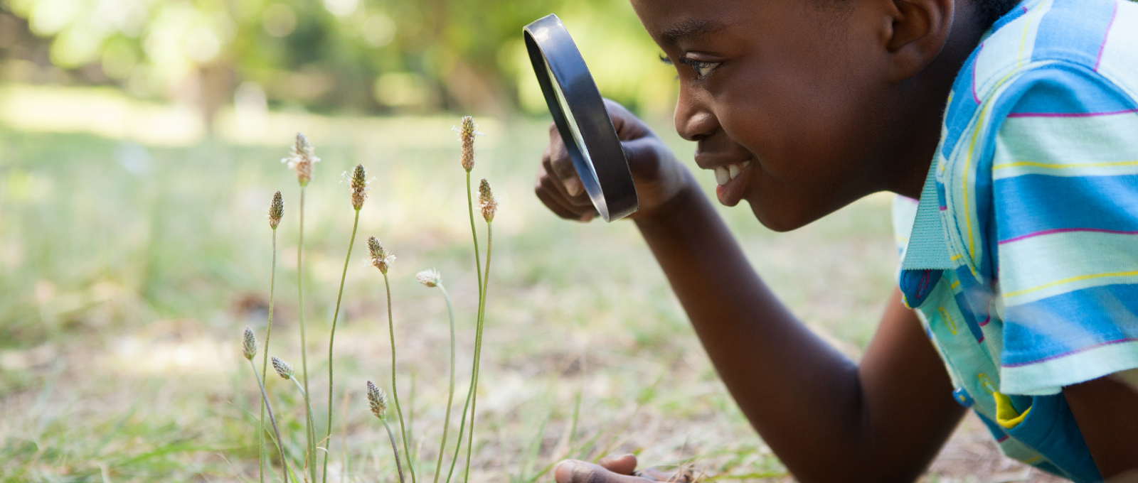 Young man using his curiosity to explore the natural world with a magnifying glass.