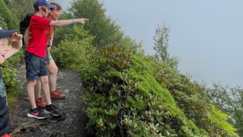 Kids on a trail pointing into a dense bank of fog.
