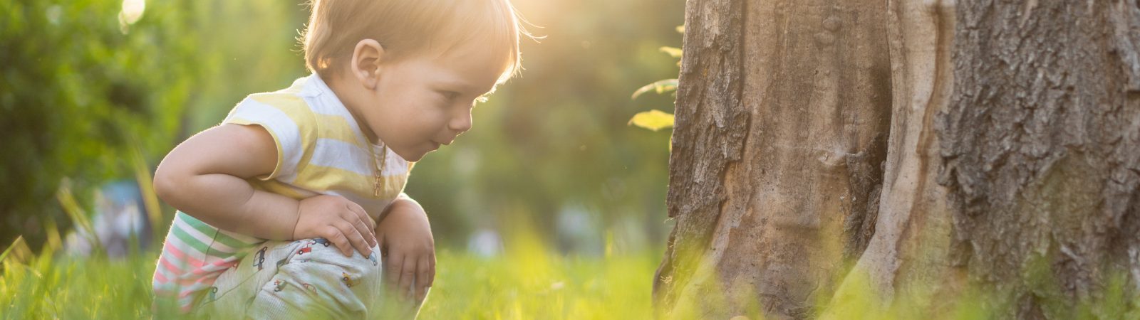 Child actively noticing grass below a tree