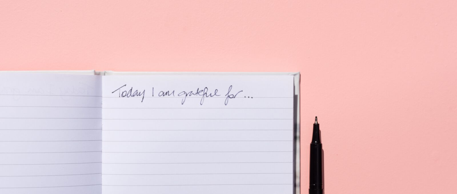 Gratitude journal