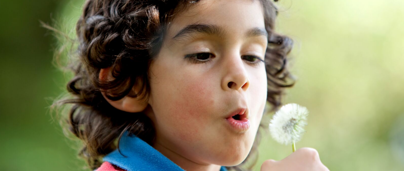 Exploring nature with a child blowing a dandelion