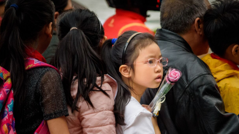 Child holding single pink rose in the wake of a tragedy like a mass shooting